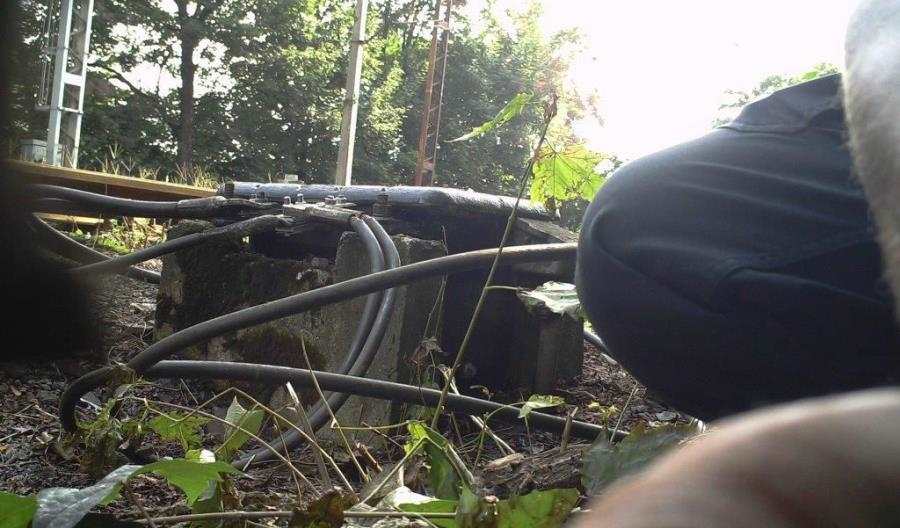 SOK łapie złodziei w fotopułapkę
