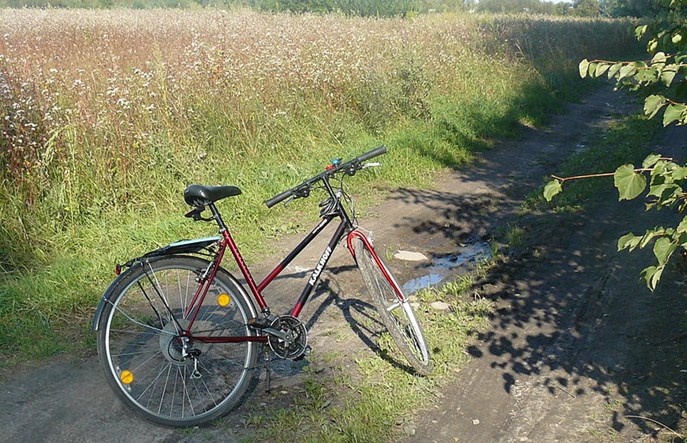 Zachodniopomorskie buduje szlaki rowerowe. Trzy kolejne przetargi 