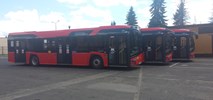 MZK Żywiec kupuje autobusy