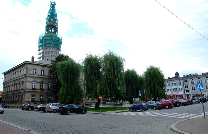 Transport powiatowo–gminny w Strzelcach Opolskich