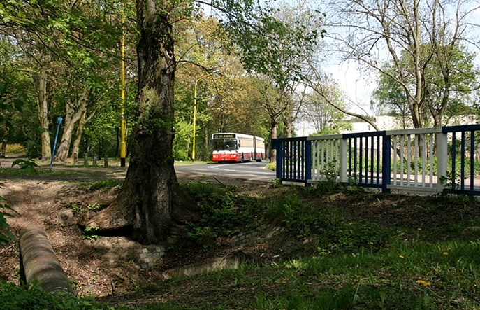 Szczecin wprowadza kartę miejską na smartfony