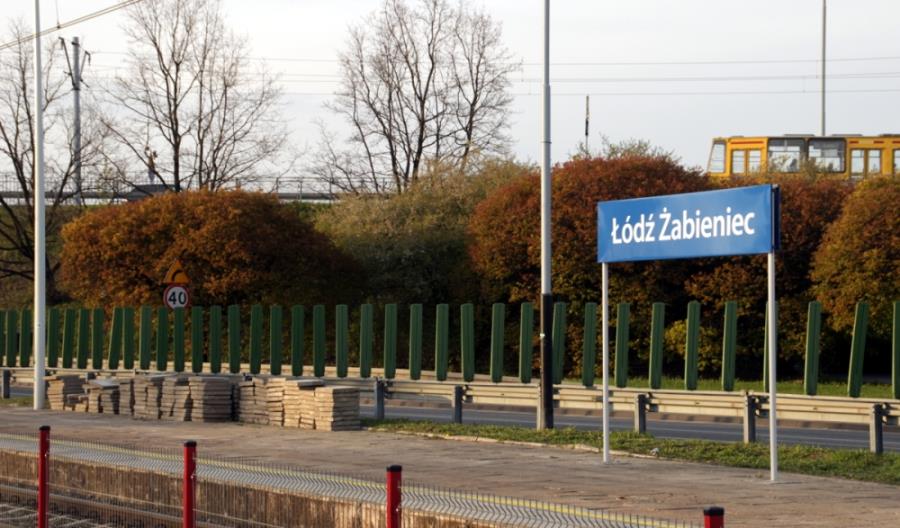 Łódź: Prace porządkowe na Żabieńcu Łódź: Prace porządkowe na Żabieńcu