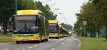 Tychy rozpisały bardzo duży przetarg na autobusy CNG