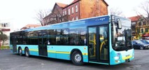 Jaworzno rezygnuje z tramwajów, stawia na elektrobusy