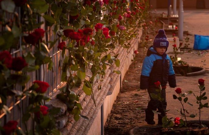 Koniec bezwzględnej wycinki drzew przy torach?