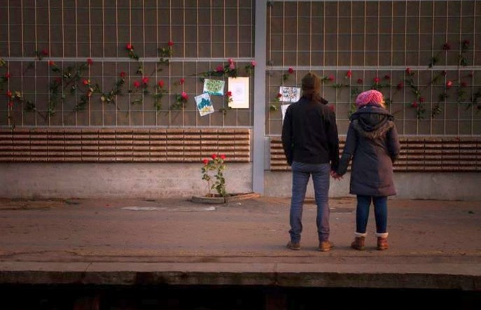 Nie chcesz wycinania drzew przy torach? Powiedz swojemu staroście