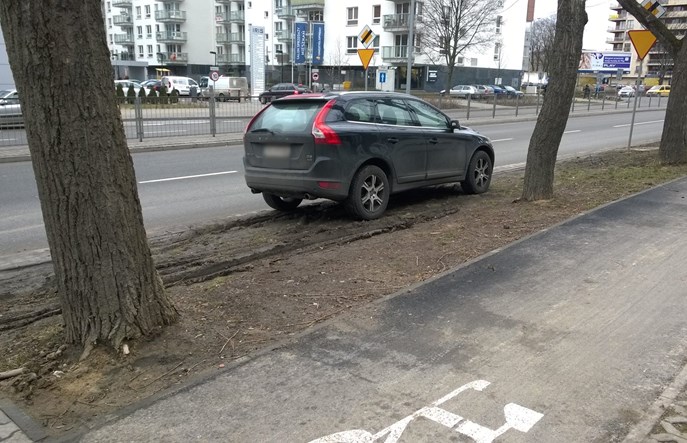 Warszawa. 8 hektarów trawników rozjechanych przez auta w 2015 r.