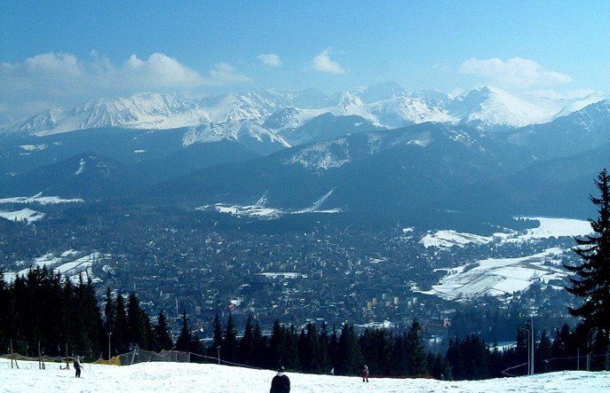 Jakie autobusy kupuje Zakopane? Pojemne, ciepłe, z biletomatem