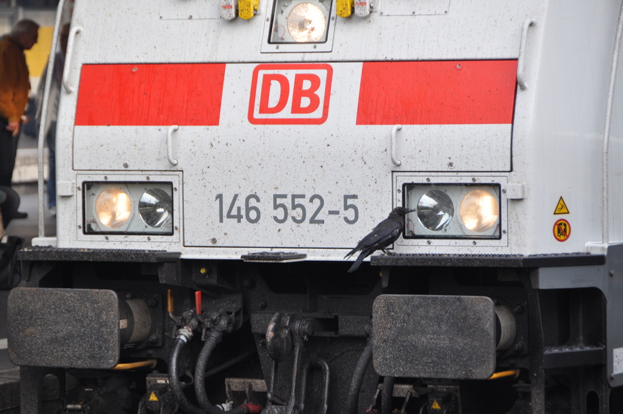Więcej pociągów od polsko-niemieckiej granicy do Berlina