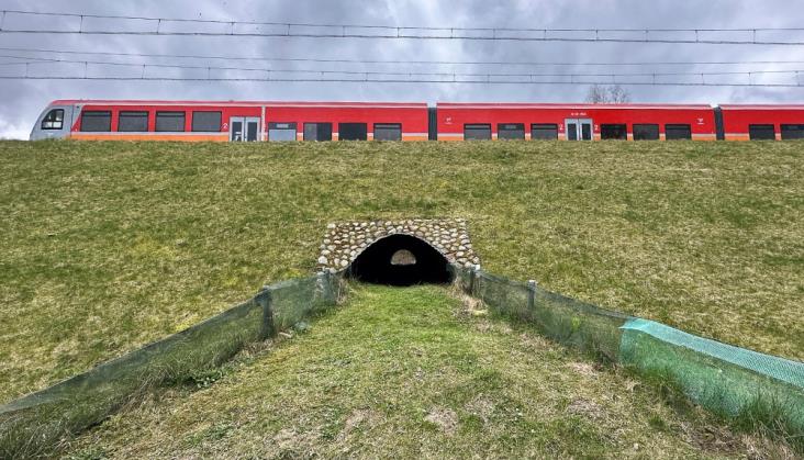 Pomorskie potwierdza: Będą elektryczne pociągi na PKM