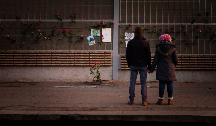 PLK: Wycinka drzew z peronu w Piastowie dla bezpieczeństwa pasażerów