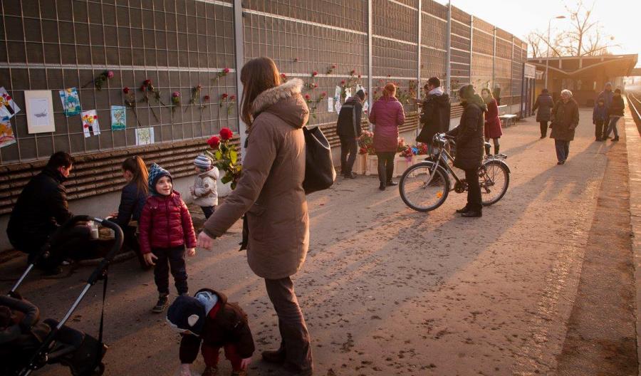 PLK: Wycinka drzew z peronu w Piastowie dla bezpieczeństwa pasażerów