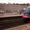 PLK: Wycinka drzew z peronu w Piastowie dla bezpieczeństwa pasażerów PLK: Wycinka drzew z peronu w Piastowie dla bezpieczeństwa pasażerów
