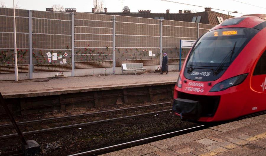 PLK: Wycinka drzew z peronu w Piastowie dla bezpieczeństwa pasażerów