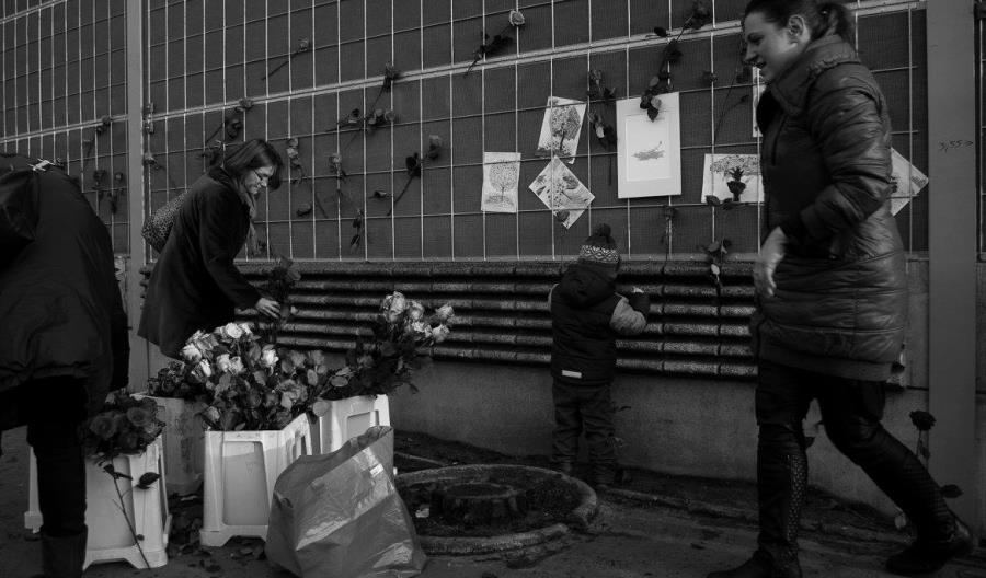 PLK: Wycinka drzew z peronu w Piastowie dla bezpieczeństwa pasażerów