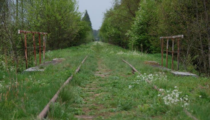 Linia kolejowa do Białowieży zostanie zrewitalizowana