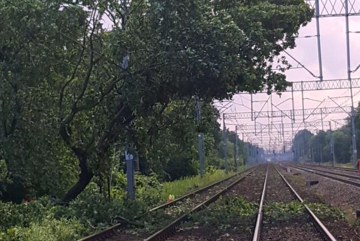 Po nawałnicy nad Warszawą ruch pociągów wraca do normy [zdjęcia]