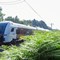 Siemens zaprezentował prototyp pociągu Rhine-Ruhr Express Siemens zaprezentował prototyp pociągu Rhine-Ruhr Express