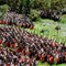 Na starym dworcu Kraków Główny powstanie interaktywne muzeum historii Polski... z klocków Lego Na starym dworcu Kraków Główny powstanie interaktywne muzeum historii Polski... z klocków Lego
