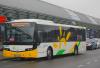 Trzech przewoźników autobusowych chce zastąpić pociągi do Grodziska