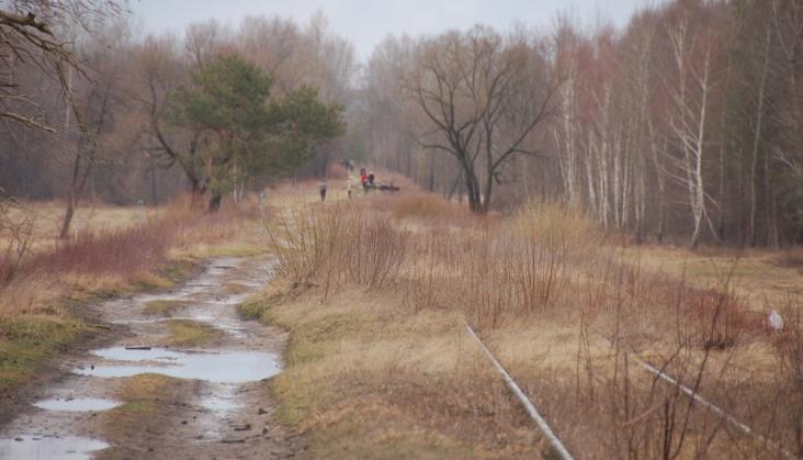 Lubelskie: Kolejowe przejście graniczne pod Włodawą nie powstanie szybko