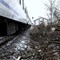 Groźne zdarzenie w Wilkołazie - pociąg uderzył w ścięte drzewo