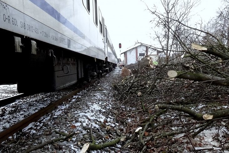 Groźne zdarzenie w Wilkołazie - pociąg uderzył w ścięte drzewo