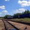 Gama na testach w PKP Cargo Gama na testach w PKP Cargo