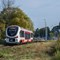 Polregio wypożyczyły Linka z Pesy Polregio wypożyczyły Linka z Pesy