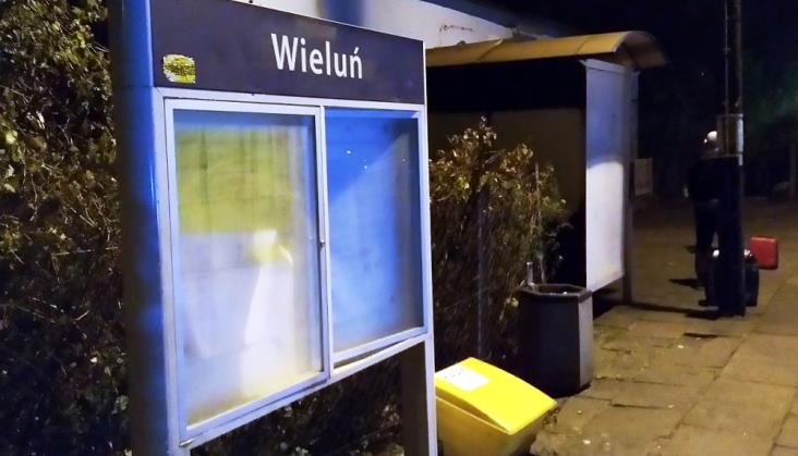 Ziemia Wieluńska: Znaczenie kolei nadal marginalne