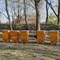 Pszczoły latają w SKM Warszawa Pszczoły latają w SKM Warszawa