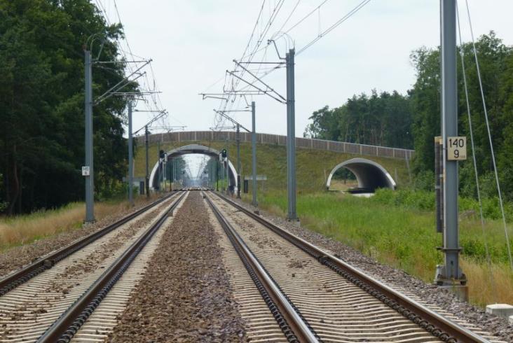 Linia Poznań – Szczecin: Ponad 90 obiektów zostanie przystosowanych do potrzeb zwierząt Linia Poznań – Szczecin: Ponad 90 obiektów zostanie przystosowanych do potrzeb zwierząt