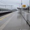 Po drugim nowym moście nad Bugiem na Rail Baltice jeżdżą pociągi Po drugim nowym moście nad Bugiem na Rail Baltice jeżdżą pociągi