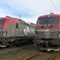 PKP Cargo z kompletem 20 Vectronów PKP Cargo z kompletem 20 Vectronów