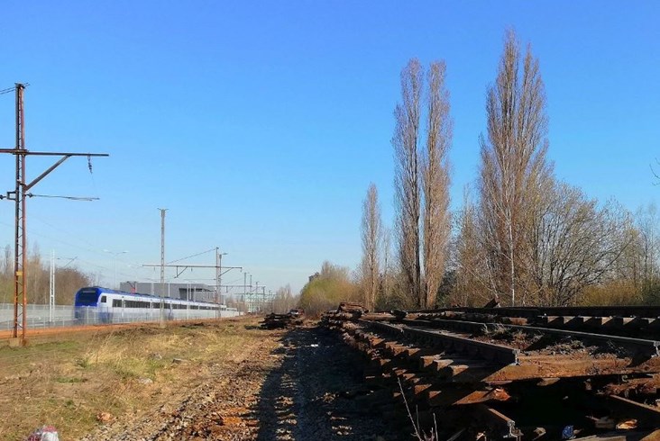 Na stacji Łódź Kaliska będą nowe perony. Ruszyły prace