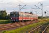 Polregio wygrało przetarg na pięcioletnią obsługę połączeń kolejowych na Podkarpaciu