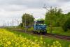 PKP Cargo w I kw. 2020: Przychody pikowały, pensje wzrosły
