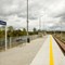 Zaklików Miasto – koleją lepsze dojazdy do Lasów Janowskich Zaklików Miasto – koleją lepsze dojazdy do Lasów Janowskich