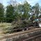 Ruszyła przebudowa Rail Baltiki od Czyżewa do Białegostoku. Głównym wykonawcą chińska firma Ruszyła przebudowa Rail Baltiki od Czyżewa do Białegostoku. Głównym wykonawcą chińska firma
