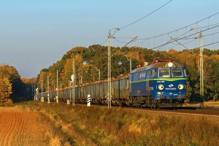 PKP Cargo Connect wysyła do Chin tysiące kontenerów z drewnem PKP Cargo Connect wysyła do Chin tysiące kontenerów z drewnem