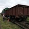 Koszalińska wąskotorówka uruchomiła wąskotorowy transporter do przewozu normalnotorowych wagonów Koszalińska wąskotorówka uruchomiła wąskotorowy transporter do przewozu normalnotorowych wagonów