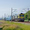 Alstom zaprezentował wodorową Coradię iLint w Żmigrodzie. Pierwszy raz w Polsce Alstom zaprezentował wodorową Coradię iLint w Żmigrodzie. Pierwszy raz w Polsce