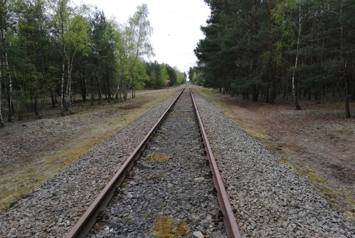 Linia 371: Pociągi historyczne Wolsztyn – Świętno coraz bliżej