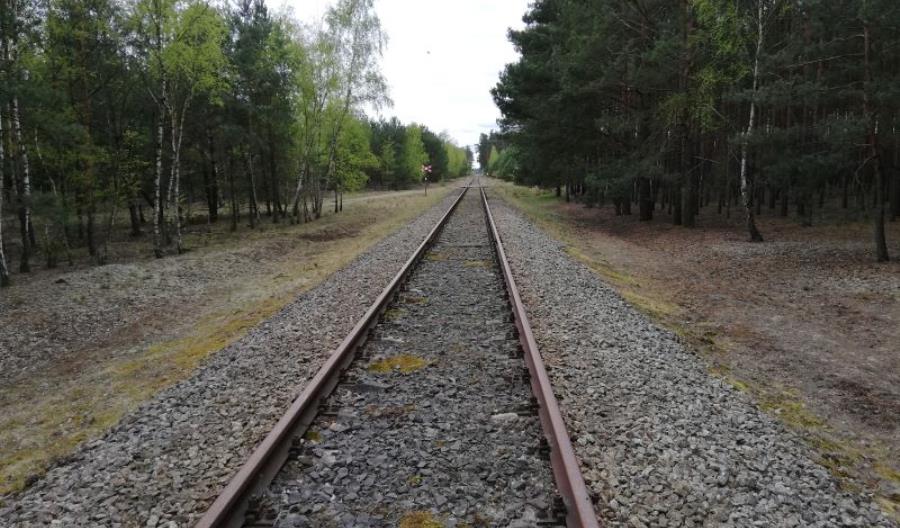 Linia 371: Pociągi historyczne Wolsztyn – Świętno coraz bliżej