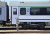 Insekty w pociągu. PKP Intercity wyciąga konsekwencje