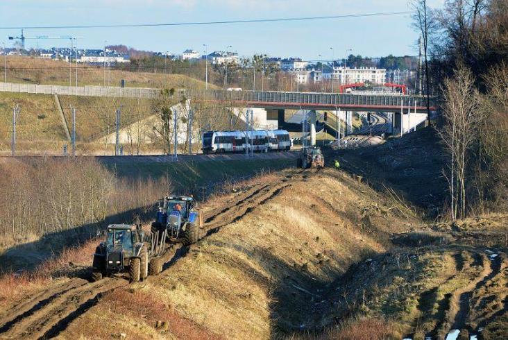 Koniec wycinki drzew pod budowę bajpasa kartuskiego. Za chwilę rusza budowa Koniec wycinki drzew pod budowę bajpasa kartuskiego. Za chwilę rusza budowa
