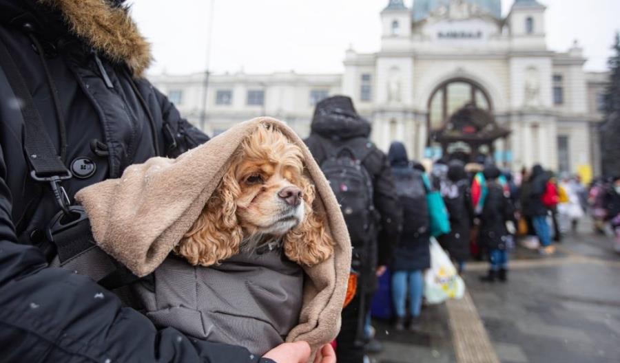 Koleje Ukraińskie dostarczają tysiące ton pomocy humanitarnej [zdjęcia]