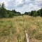 Dolny Śląsk chce rewitalizować linię kolejową do Góry 