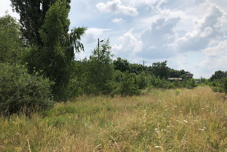 Dolny Śląsk chce rewitalizować linię kolejową do Góry 
