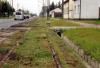 Konstantynów Łódzki: Modernizacja linii tramwajowej ruszyła z lekkim opóźnieniem 